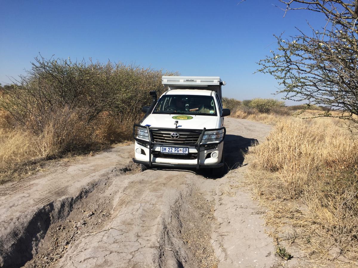 central_kalahari_ckgr_exploringafrica_safariadv_romina_facchi_botswana_desert