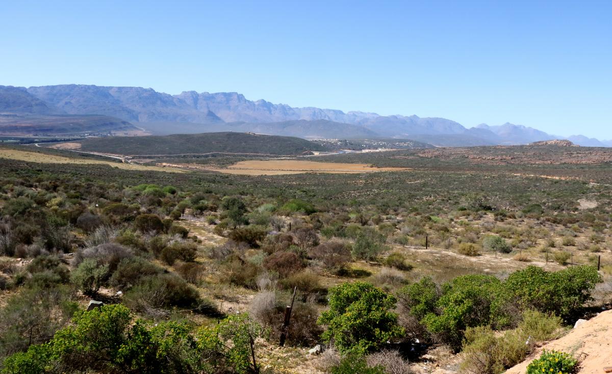 South Africa exploringafrica safariadv romina facchi travel