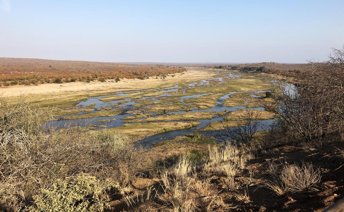south africa sudafrica exploringafrica safariadv kruger lion safari travel
