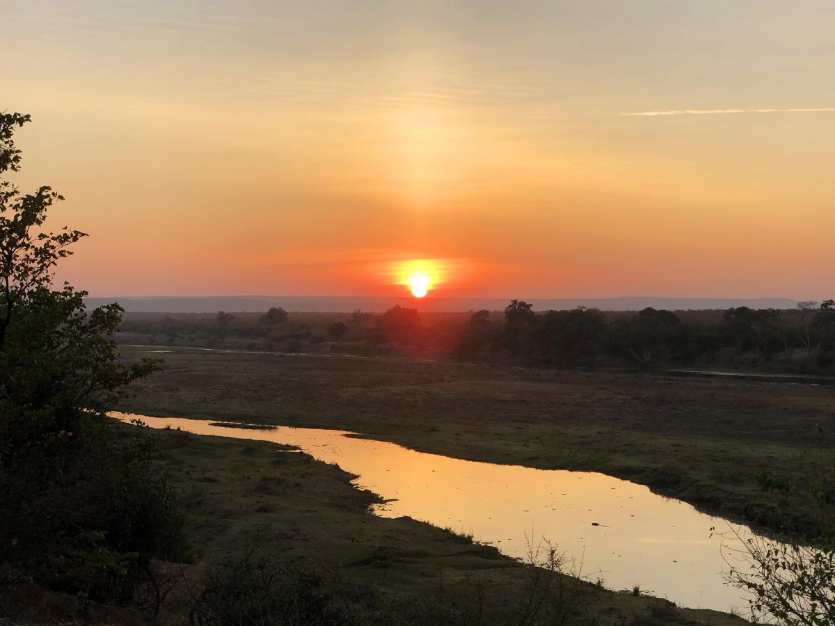 south africa sudafrica exploringafrica safariadv kruger lion safari travel