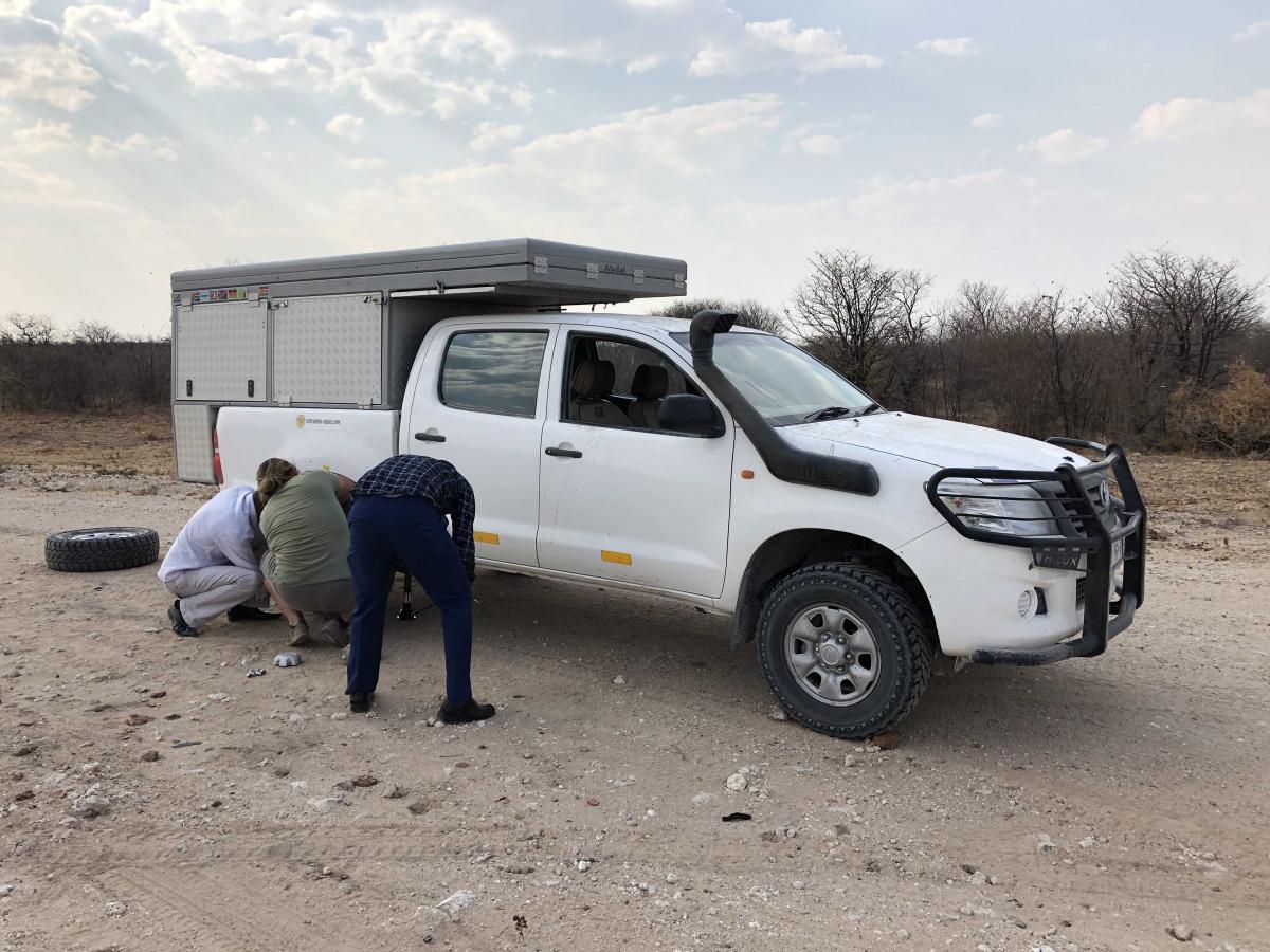 botswana on the road