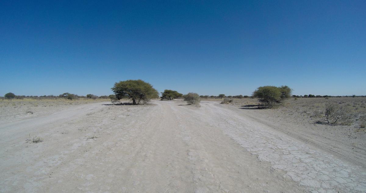 botswana kalahari safariadv exploringafrica 